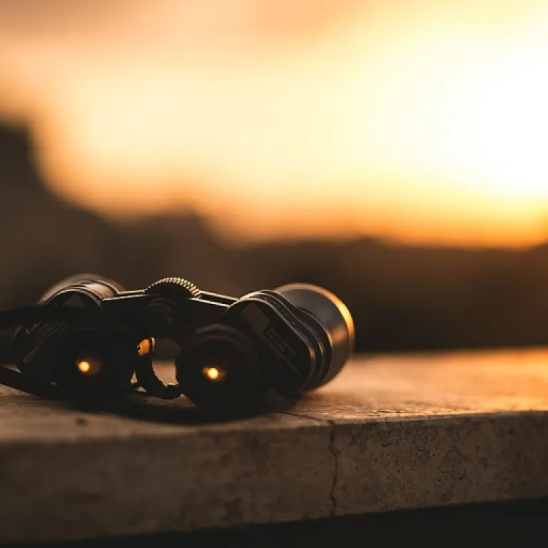 Harnessing AI for Enhanced Digital Media Strategies
